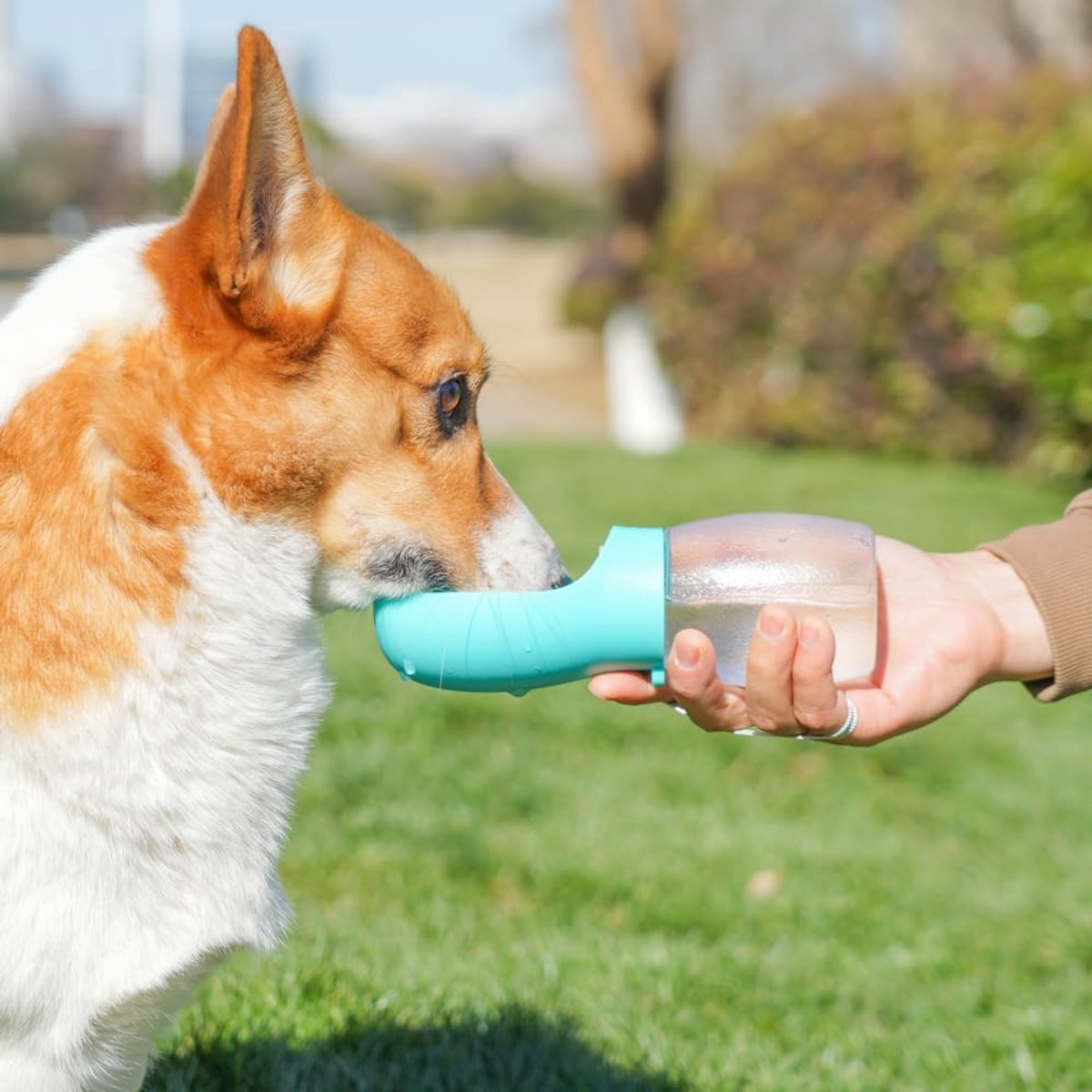 Hondendrinkfles 300ml - Levensbestendige waterfles - Inclusief 2 traktatieballen - Ideaal voor onderweg - ShopVlot