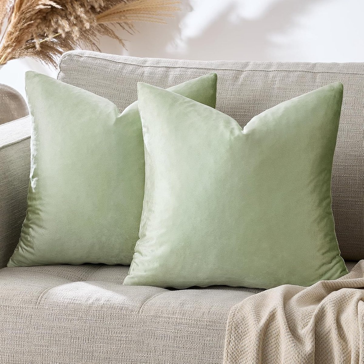 Decoratieve Kussenhoezen 50x50 cm - Zachte Velvet - Luxe Sage Groen - Perfect voor Sofa en Slaapkamer - ShopVlot