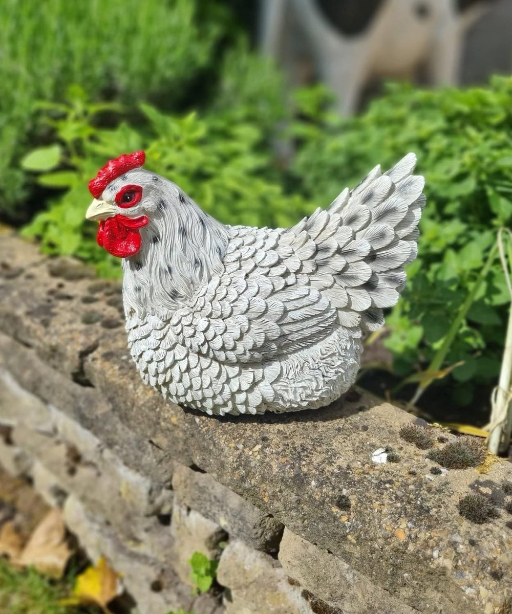 Gartenzwerg zittende kip - multi-kleur - 26 x 17 x 20 cm - realistisch - ideaal voor binnen en tuin - ShopVlot