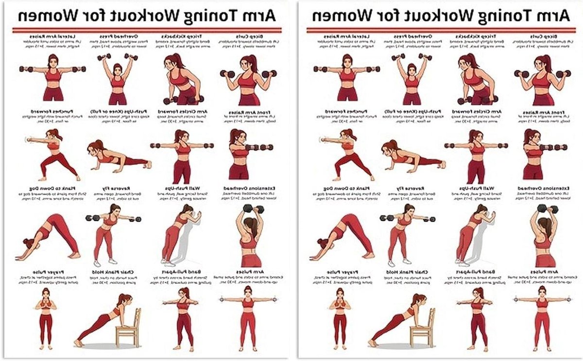 Gewichtstraining Poster - Oefengids Lichaam - Thuis Trainen - Visuele Aanwijzingen - 25 x 20 cm - Meerkleurig