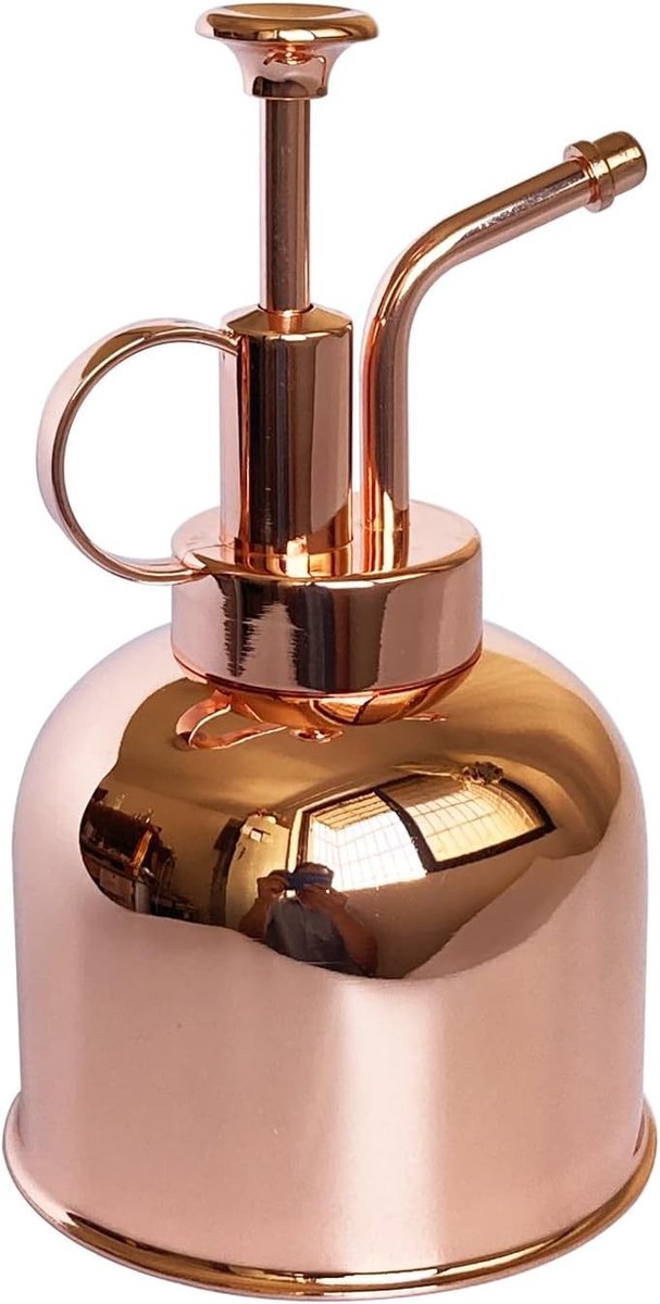 Moderne gietersprayfles voor binnenplanten, roestvrijstalen plantensproeier, ideaal voor water geven en besproeien van potplanten (0.3L, roségoud)
