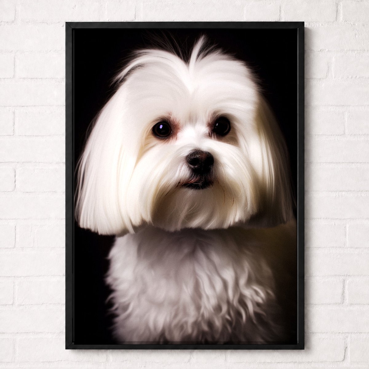 Maltezer Hond Poster - Huisdieren Collectie - Dieren Posters - A1+ 61 x 91,5 cm