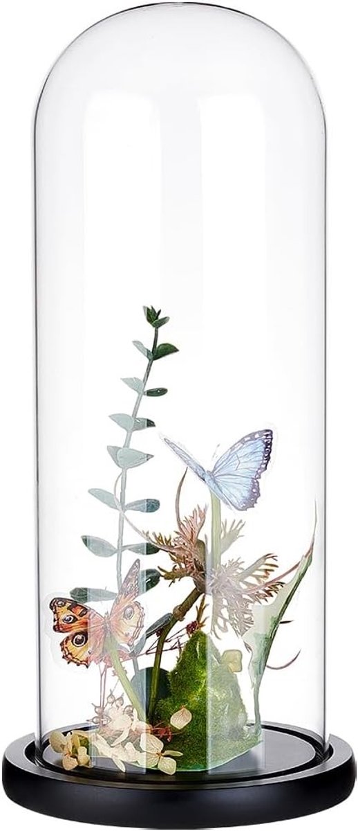 Eternal Transparante Glazen Deksel voor Bloemen, Glazen Display Koepel met Zwarte Houten Basis voor DIY Bloemcreaties en Decoratie
