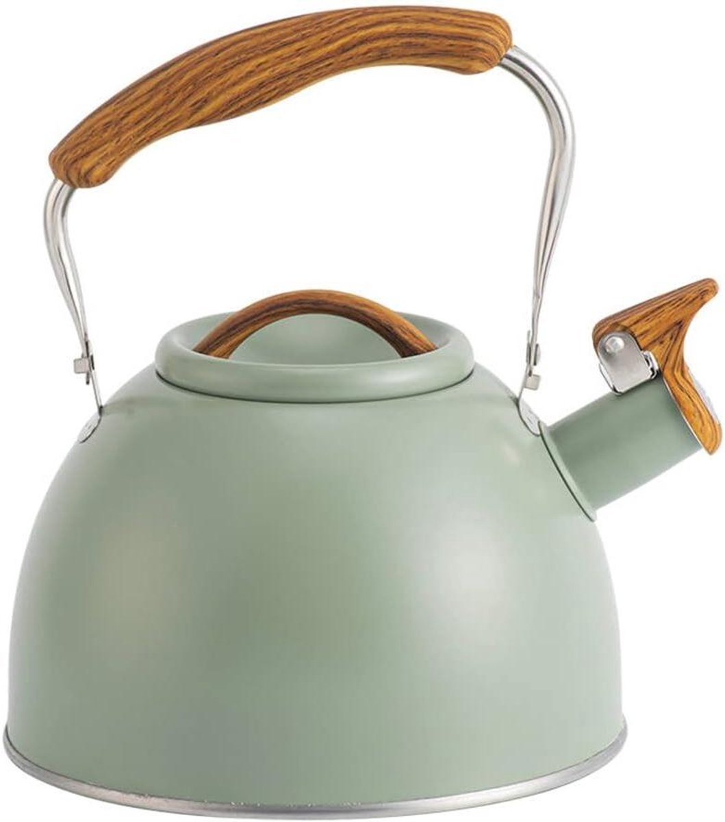 Waterketel RVS - Theeketel met fluit - Water Koken - Hittebestendige Greep - 3 Liter Inhoud - Groen