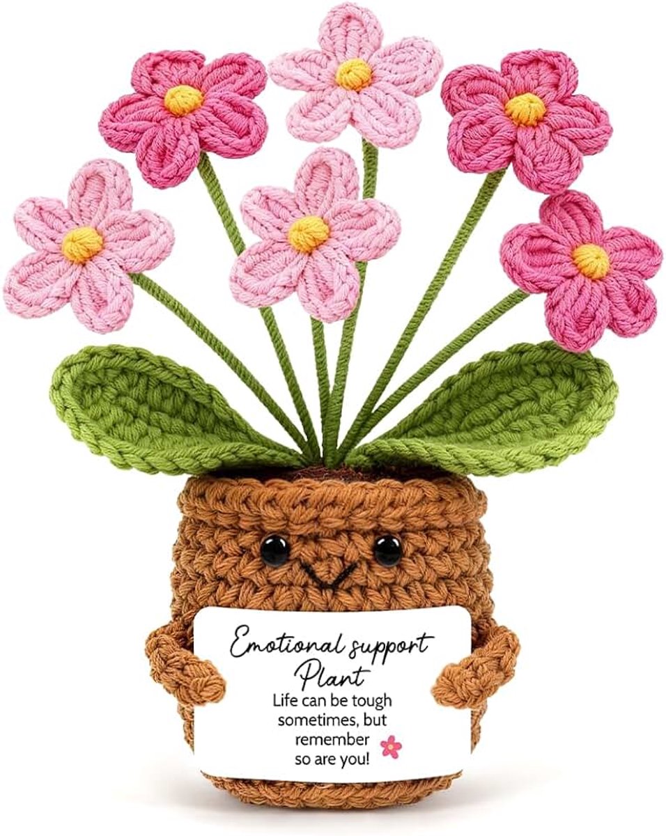 Pocket Hug bloemen, emotionele ondersteuning, kleine cadeaus voor vrouwen, gehaakte bloemen, geluksbrenger, cadeau voor verjaardag, Kerstmis, Nieuwjaar