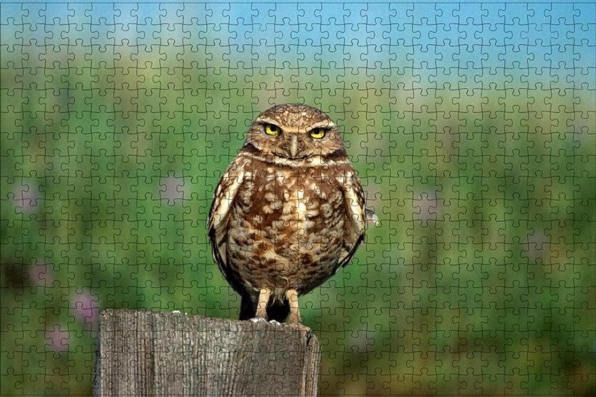 Houten Puzzel - Legpuzzel Stukjes - Ontspanning Thuis - Gepersonaliseerde Foto - 1000 Stukjes - Kleurrijk