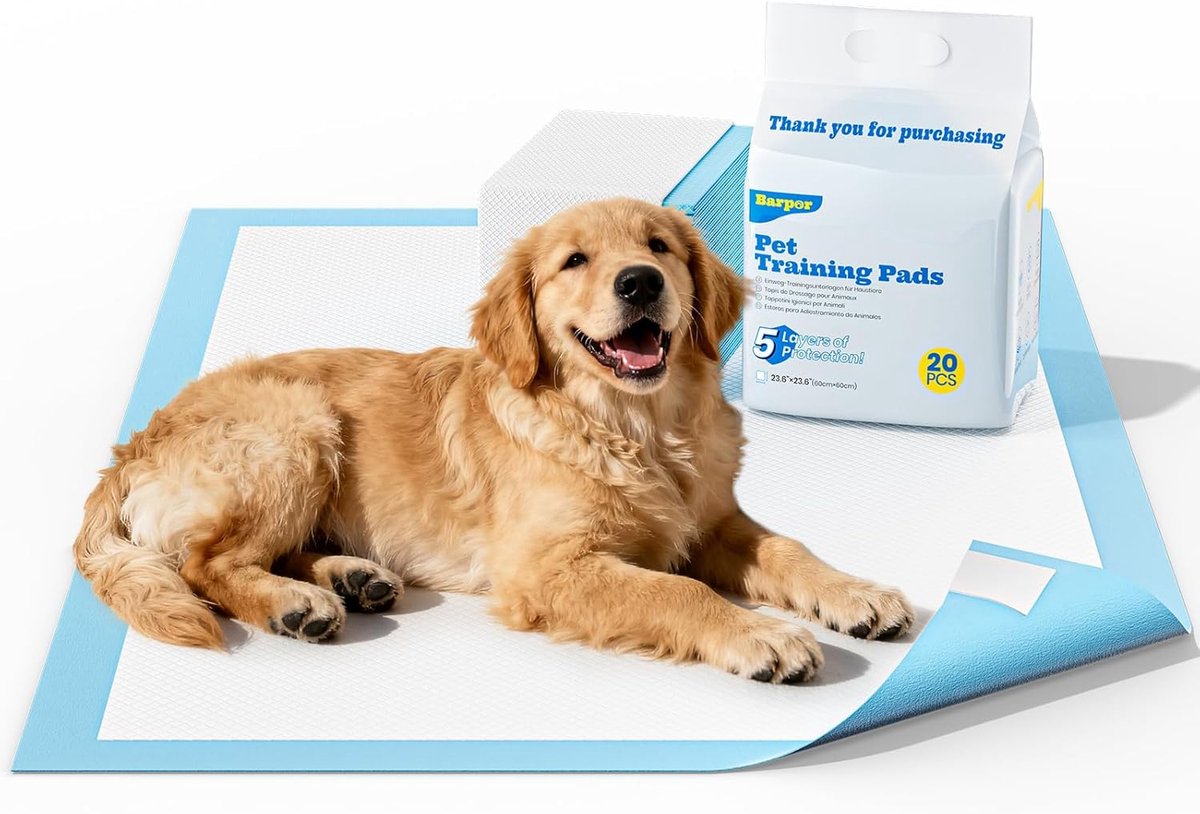 SnelShoppen - Puppy Training Pads Set van 20 Stuks - Grote Hondentrainingspads 60 x 60 cm - Super Absorberend, Lekvrij, Antislip, Zware Kwaliteit 5-la