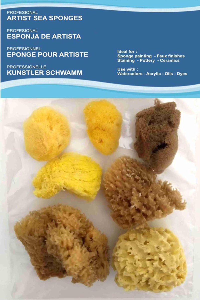 SnelShoppen - Artists Painting Natural Sea Sponges Waarde Pack - 7-8 Stuks voor Schilderen, Creatieve Hobby's, Decoratie, Pottenbakken, Ceramiek, Effe