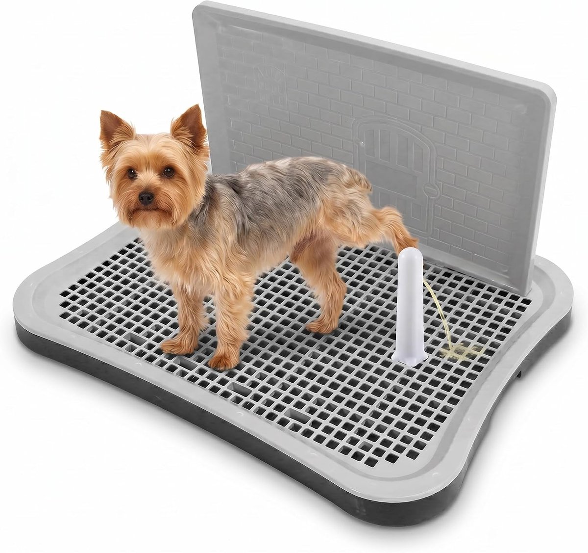 SnelShoppen - Dog toilet met verwijderbare en draagbare netwand voor puppy's, honden van grote, kleine en middelgrote maten - Veilig, geurloos plastic