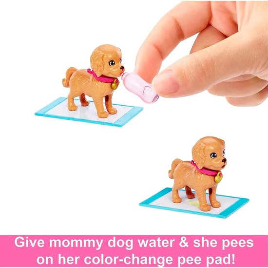 Bruine puppy op een plasmatje krijgt water uit een flesje. Op een ander plasmatje staat eenzelfde puppy.