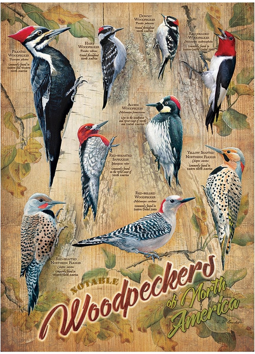 Cobble Hill puzzel Woodpeckers - 500 stukjes legpuzzel.