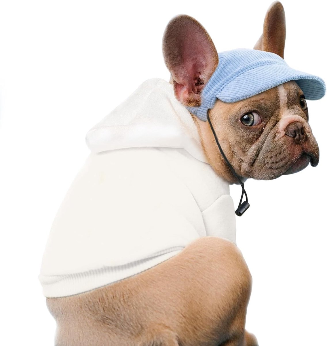 Verstelbare hondenpet met oorgaten, zonbescherming voor huisdieren, ideaal voor zomeruitjes en sportieve activiteiten met honden en katten