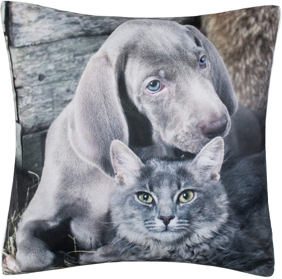 Decoratieve Kussen met Dierenmotief - 40 x 40 cm - Hond en Kat