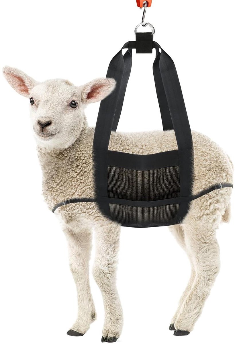 Kalf Sling - Weegband Dier - Dieren Wegen - Verstelbare Banden - 23.6 x 35.1 cm - Zwart