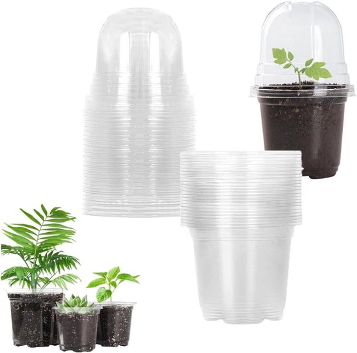 5 stuks kweekpotten met deksel en vochtkoepel - Transparante plastic plantenpotten voor vetplanten, zaden en zaailingen