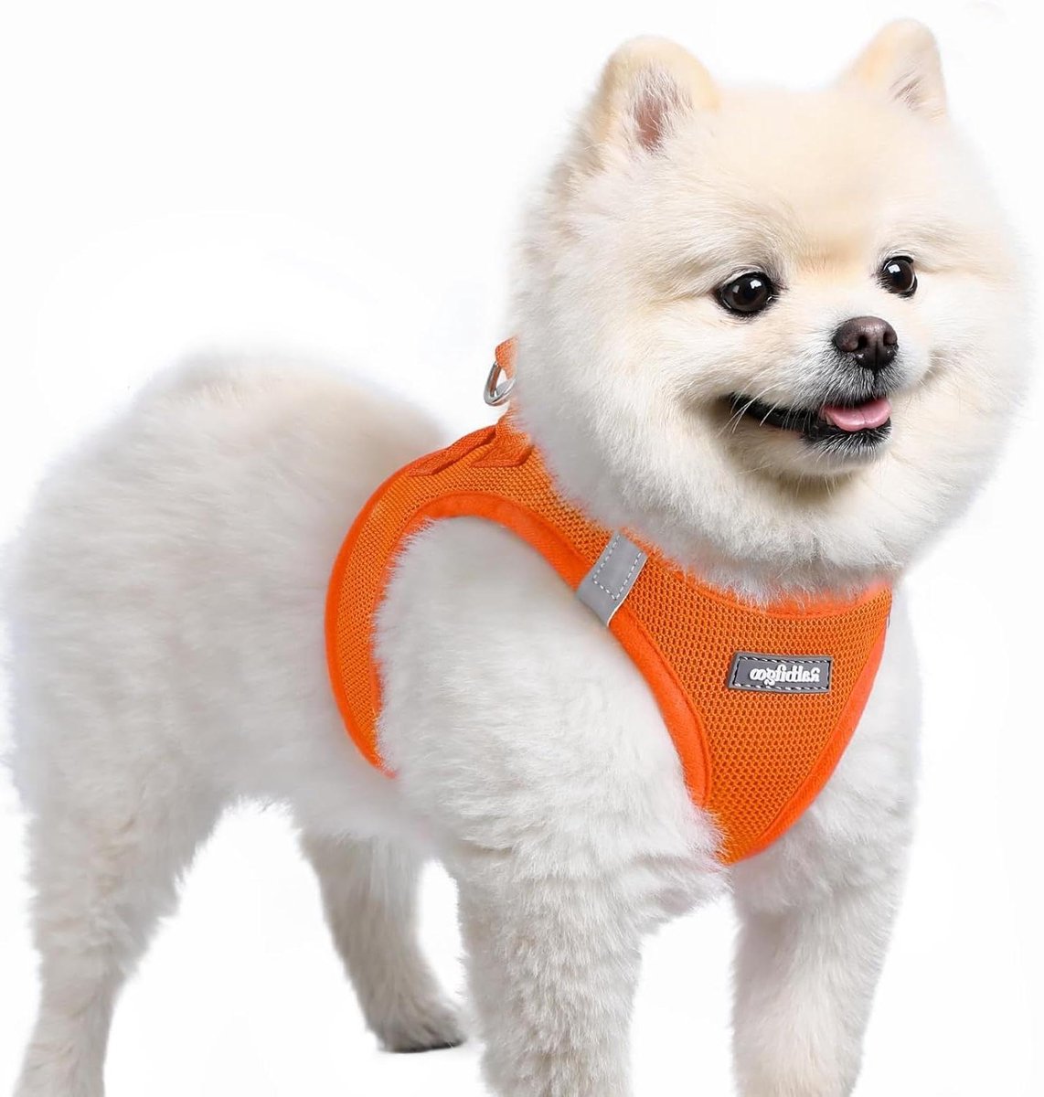 Hondentuigje - Puppy Tuigje - Comfortabel Wandelen - Ademend Mesh Materiaal - Maat S - Oranje