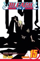 Bleach 15 - Bleach, Vol. 15