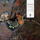 Sebastian Mullaert - Natthall (2 LP)