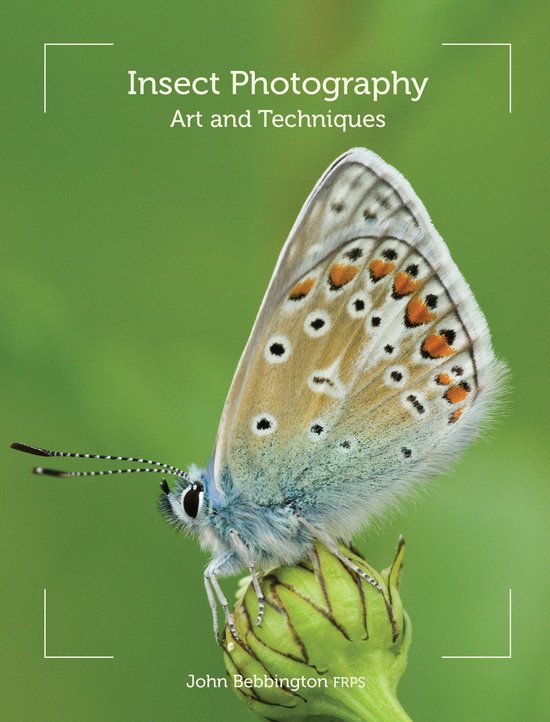 Insect Photography - cover