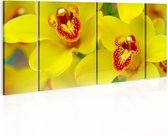 Schilderij - Prachtige gele kleuren, orchidee , 4 luik