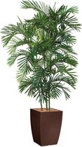 HTT - Kunstplant Areca palm in Genesis vierkant bruin H200 cm