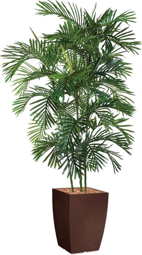HTT - Kunstplant Areca palm in Genesis vierkant bruin H200 cm