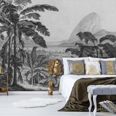 Behang Engraving african landscape - dark grey 150 x 280 cm (b x h)