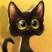Full 5D Zwarte kat met grote grappige ogen Diamond Painting maat 20x20