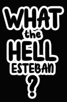 What the Hell Esteban?