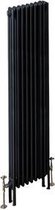Design radiator verticaal 2 kolom staal mat antraciet 180x38,3cm 1245 watt - Eastbrook Rivassa