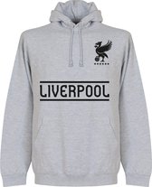 Liverpool Team Hoodie - Grijs - L