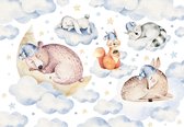 Fotobehang - Vlies Behang - Slapende Bosdieren in de Wolken - Kinderbehang - 208 x 146 cm