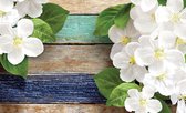 Fotobehang - Vlies Behang - Witte Bloemen op Gekleurde Houten Planken - 312 x 219 cm