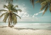 Fotobehang - Vlies Behang - Tropisch Strand met Palmbomen aan Zee - 416 x 254 cm