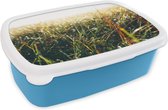 Broodtrommel Blauw - Lunchbox - Brooddoos - Grasveld - Pampasgras - Gras - 18x12x6 cm - Kinderen - Jongen