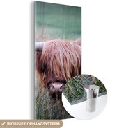 MuchoWow® Glasschilderij 60x120 cm - Schilderij acrylglas - Schotse Hooglander - Hoorns - Gras - Foto op glas - Schilderijen