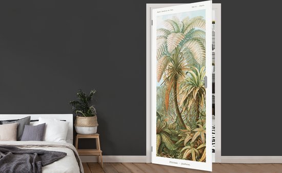 Deursticker Vintage - Oude meesters - Varens - Planten - Natuur - 90x205 cm - Deurposter