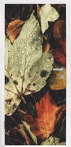 Deursticker Herfstbladeren - Herfst - Seizoenen - Natuur - 85x205 cm - Deurposter