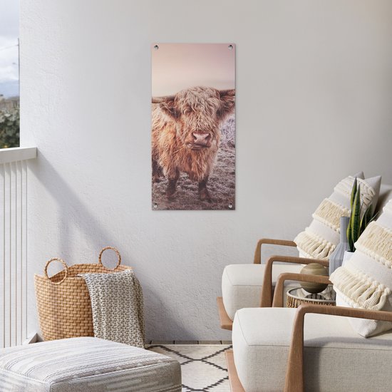 Poster de jardin Highlanders écossais - Lumière - Air - Nature - 40x80 cm - Décoration murale Outdoor - Poster de jardin - Toile de jardin - Poster de clôture - Tableau de jardin