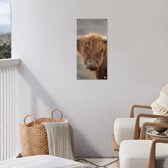 Affiche de jardin Highlander écossais - Cornes - Cheveux - 30x60 cm - Toile de jardin - Affiche extérieure