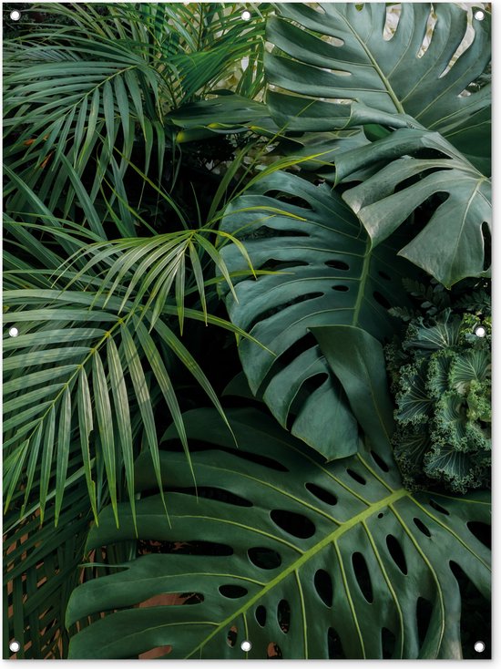 Tuinposter - Tuindoek - Tuinposters buiten - Planten - Jungle - Bladeren - Tropisch - 90x120 cm - Tuin