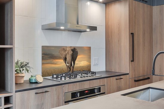 Spatscherm keuken 120x60 cm - Kookplaat achterwand Olifant - Dieren - Gras - Natuur - Muurbeschermer - Spatwand fornuis - Hoogwaardig aluminium