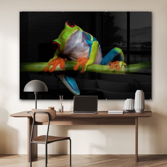 Peinture sur verre - Grenouille - Animaux - Vert - Oranje - Rouge - Photo sur verre - Peinture sur verre - 180x120 cm - Décoration murale