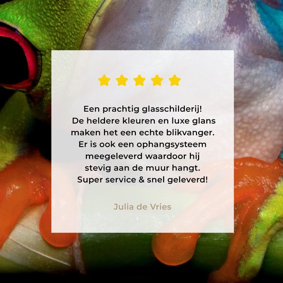 Peinture sur verre - Grenouille - Animaux - Vert - Oranje - Rouge - Photo sur verre - Peinture sur verre - 100x150 cm - Décoration murale