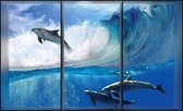 Fotobehang - Vlies Behang - Dolfijnen in Zee 3D Raamzicht - 368 x 254 cm