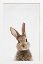 JUNIQE - Poster in houten lijst Baby konijn kleurenfoto -60x90 /Bruin