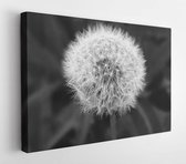 Onlinecanvas - Schilderij - Blooming Blur Close Up Dandelion Art Horizontal Horizontal - Multicolor - 60 X 80 Cm