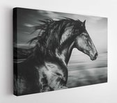 Portrait de cheval Spanish en cours d'exécution, photo noir et blanc - Toile d' Art moderne - Horizontal -760999816 - 80 * 60 Horizontal