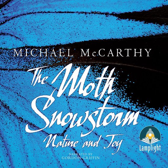 The Moth Snowstorm - cover
