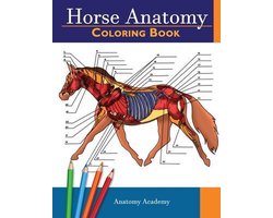 Omslag van Horse Anatomy